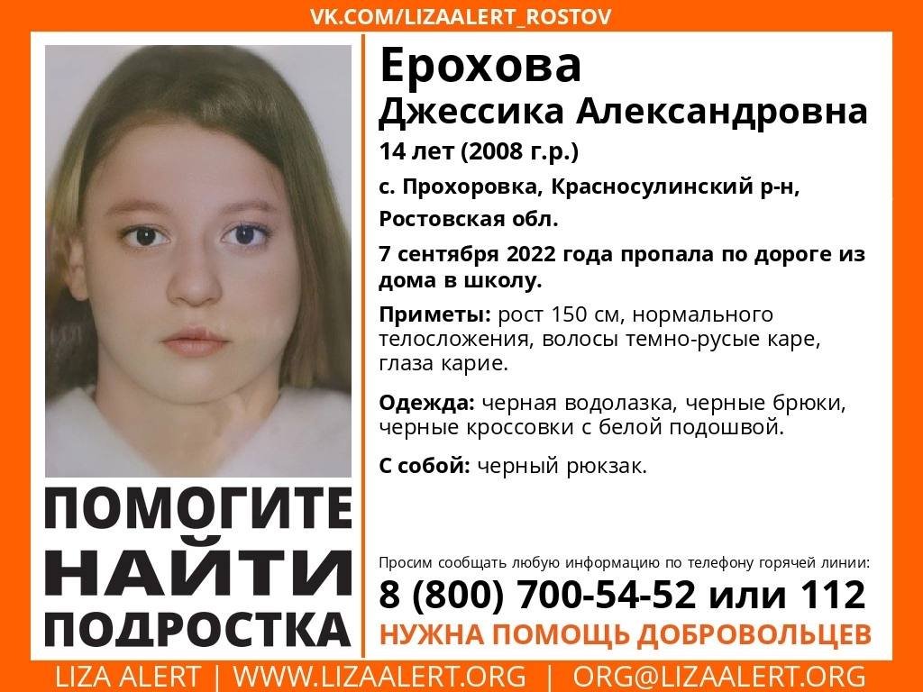 В Красносулинском районе следователи  возбудили уголовное дело по факту безвестного исчезновения 14-летней девочки